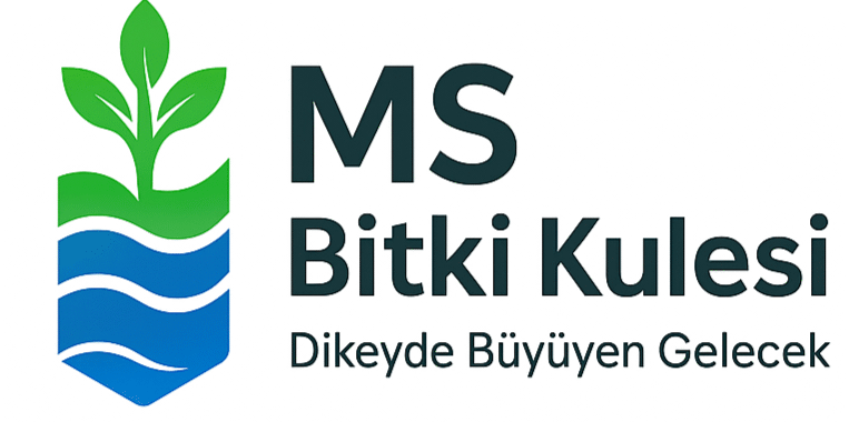msbitkikulesi